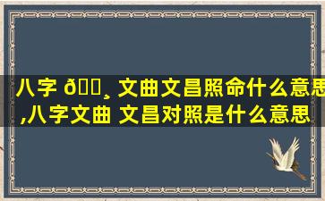 八字 🌸 文曲文昌照命什么意思,八字文曲 文昌对照是什么意思